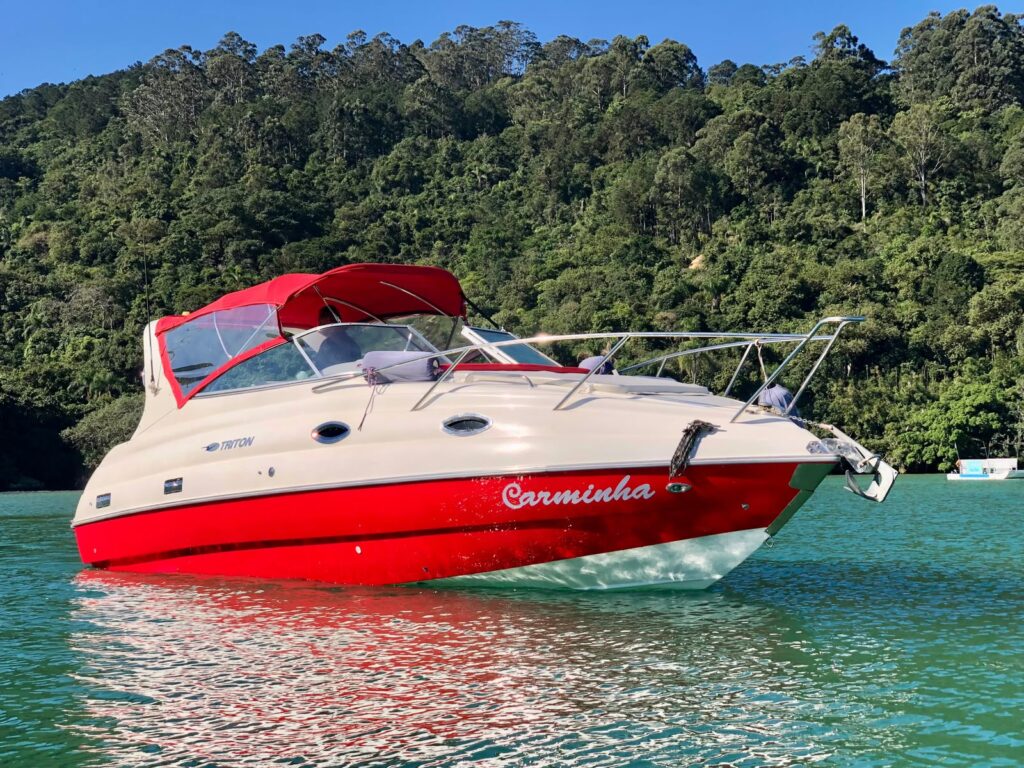 Triton 270