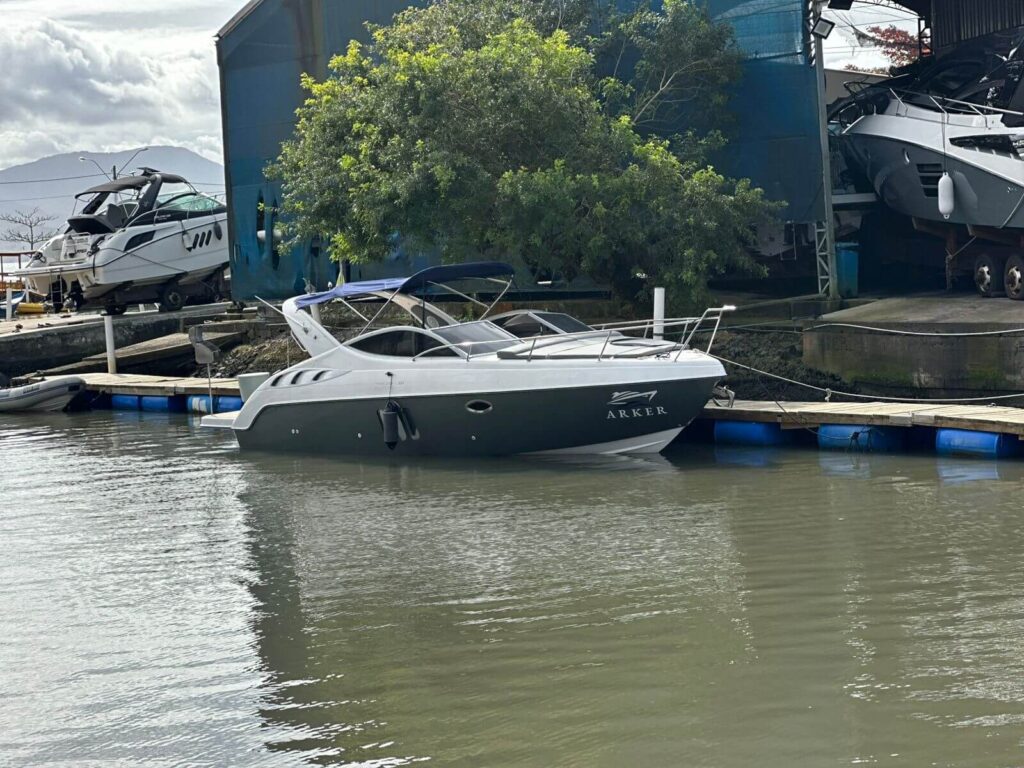 Phantom 300