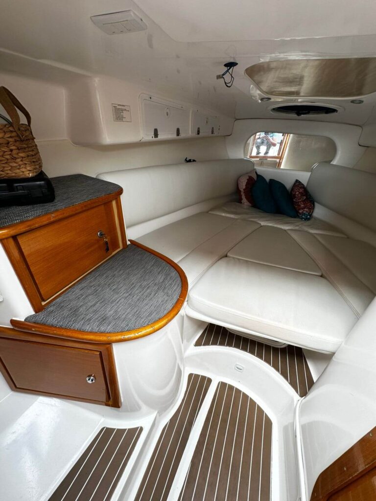 Phantom 300