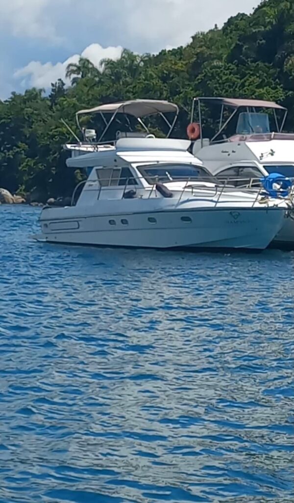 Sea baron 340
